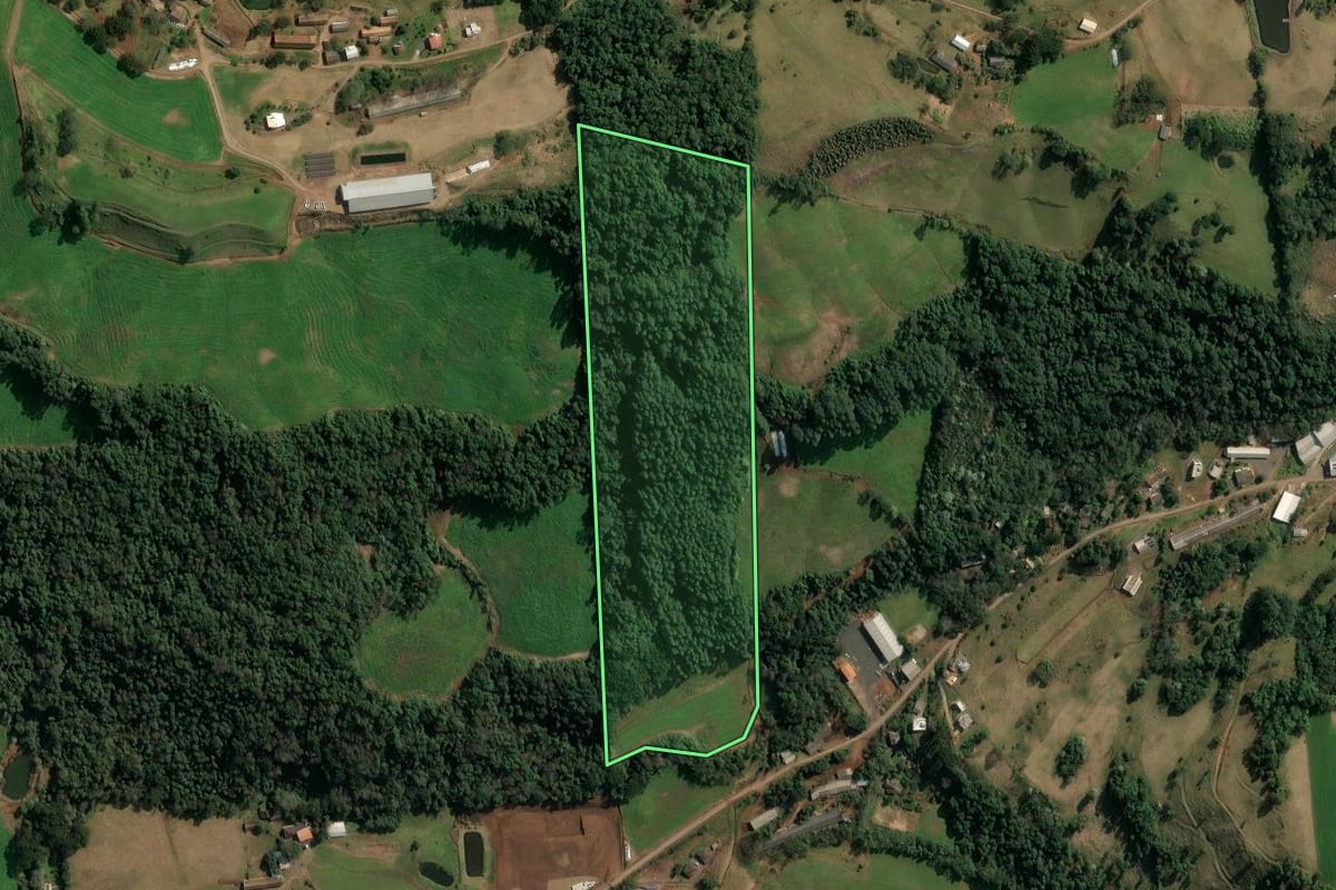 Imagem de satélite do imóvel rural em Concórdia (SC), com o contorno declarado no CAR desenhado por cima.