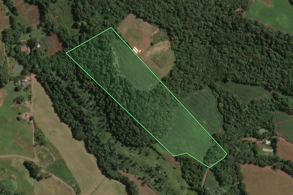 Imagem de satélite do imóvel rural em Concórdia (SC), com o contorno declarado no CAR desenhado por cima.