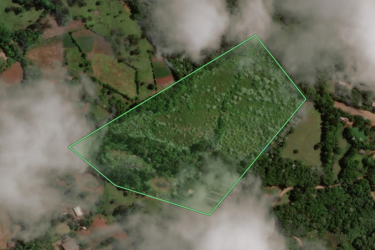 Imagem de satélite do imóvel rural em Concórdia (SC), com o contorno declarado no CAR desenhado por cima.