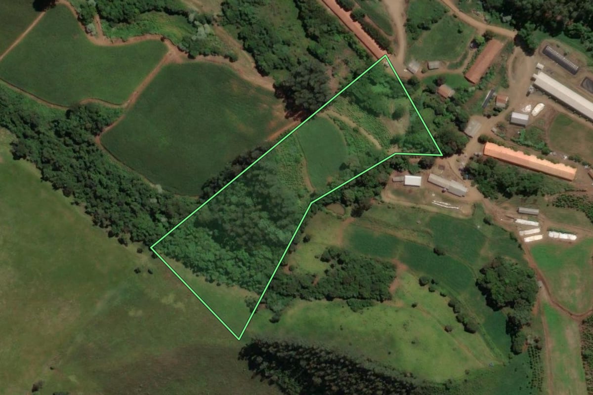 Imagem de satélite do imóvel rural em Concórdia (SC), com o contorno declarado no CAR desenhado por cima.
