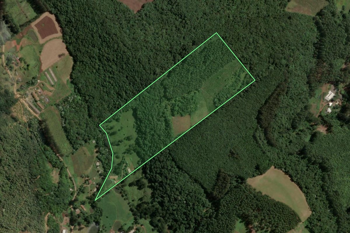 Imagem de satélite do imóvel rural em Concórdia (SC), com o contorno declarado no CAR desenhado por cima.