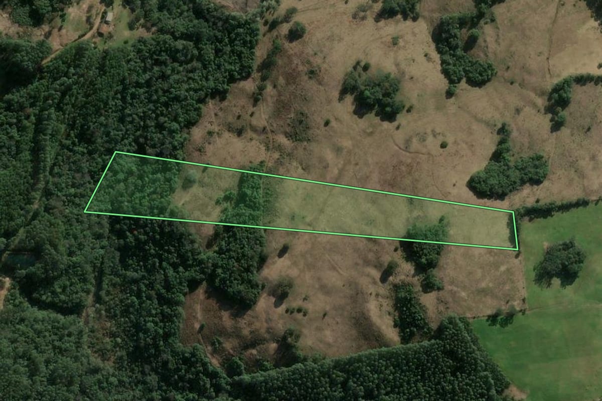 Imagem de satélite do imóvel rural em Concórdia (SC), com o contorno declarado no CAR desenhado por cima.