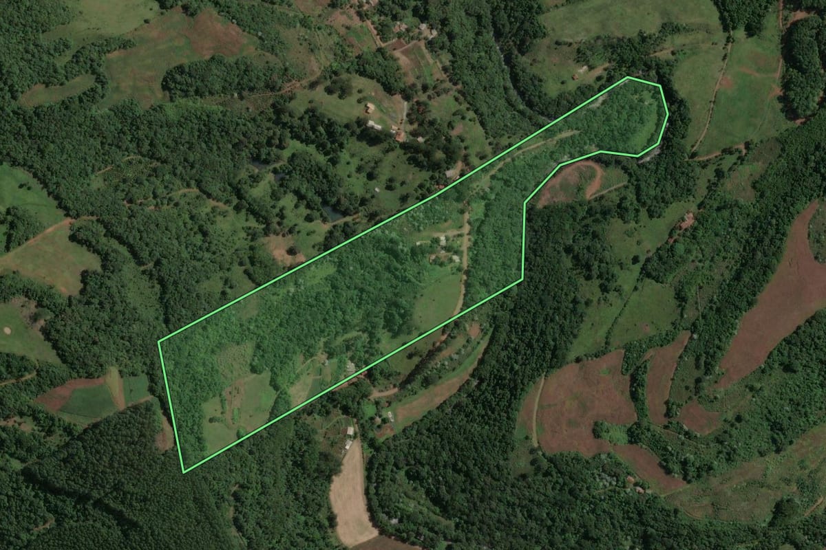 Imagem de satélite do imóvel rural em Concórdia (SC), com o contorno declarado no CAR desenhado por cima.