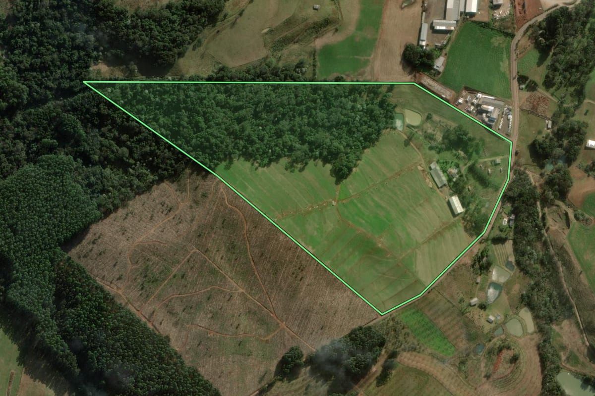 Imagem de satélite do imóvel rural em Cordilheira Alta (SC), com o contorno declarado no CAR desenhado por cima.