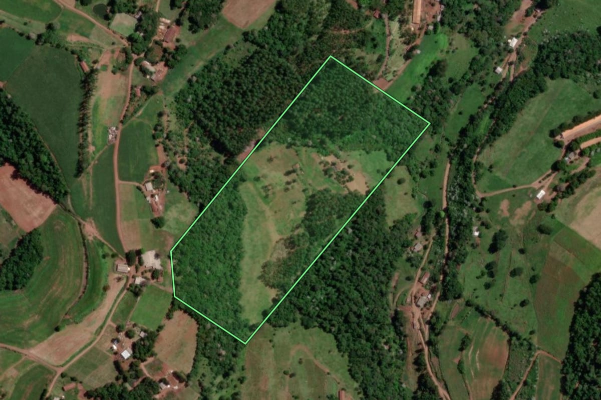 Imagem de satélite do imóvel rural em Cordilheira Alta (SC), com o contorno declarado no CAR desenhado por cima.
