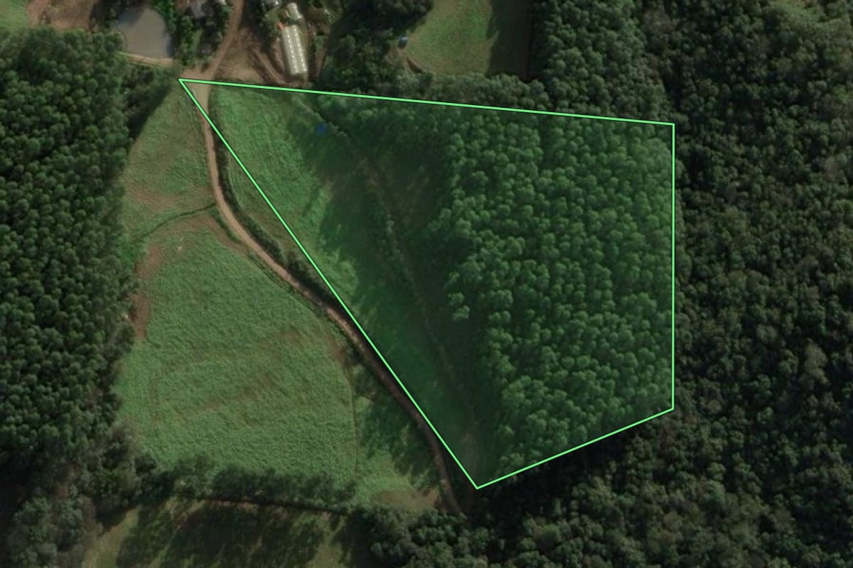 Imagem de satélite do imóvel rural em Cordilheira Alta (SC), com o contorno declarado no CAR desenhado por cima.