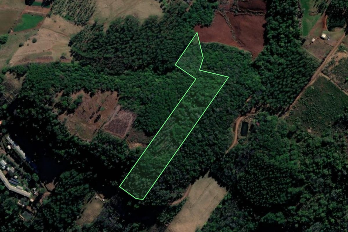 Imagem de satélite do imóvel rural em Cordilheira Alta (SC), com o contorno declarado no CAR desenhado por cima.