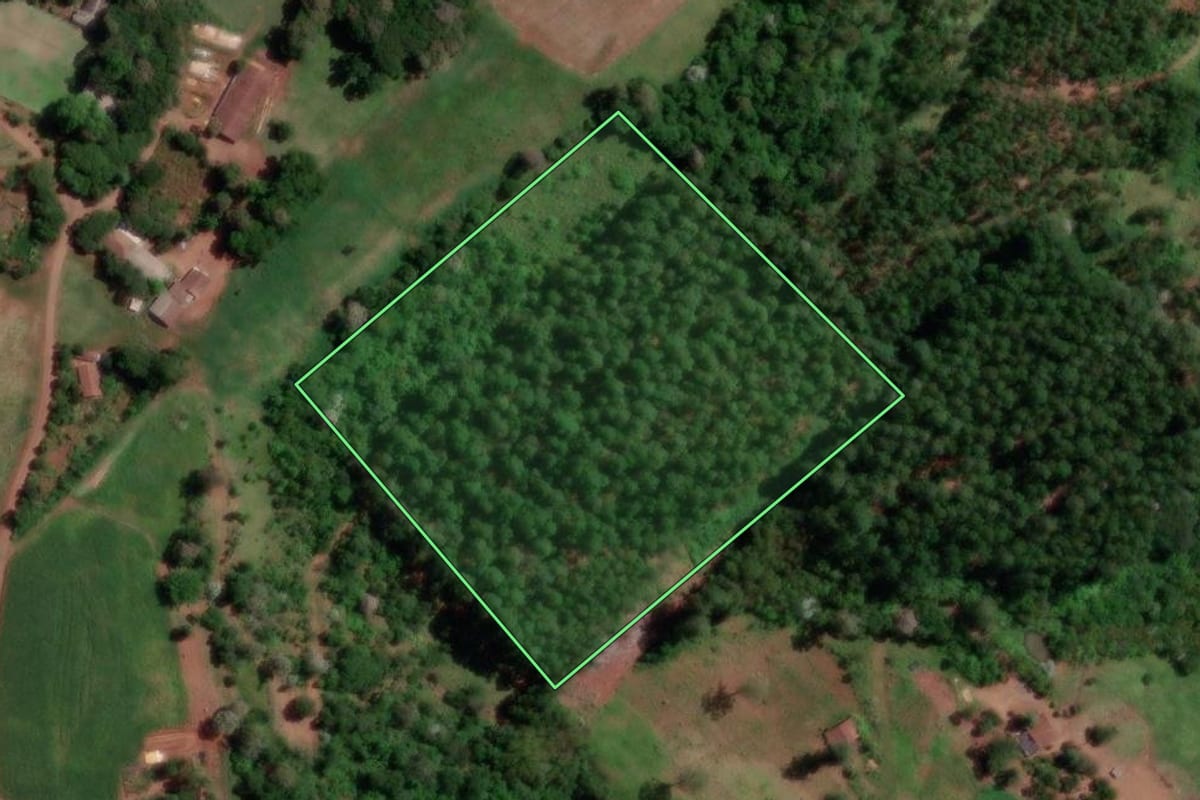 Imagem de satélite do imóvel rural em Cordilheira Alta (SC), com o contorno declarado no CAR desenhado por cima.