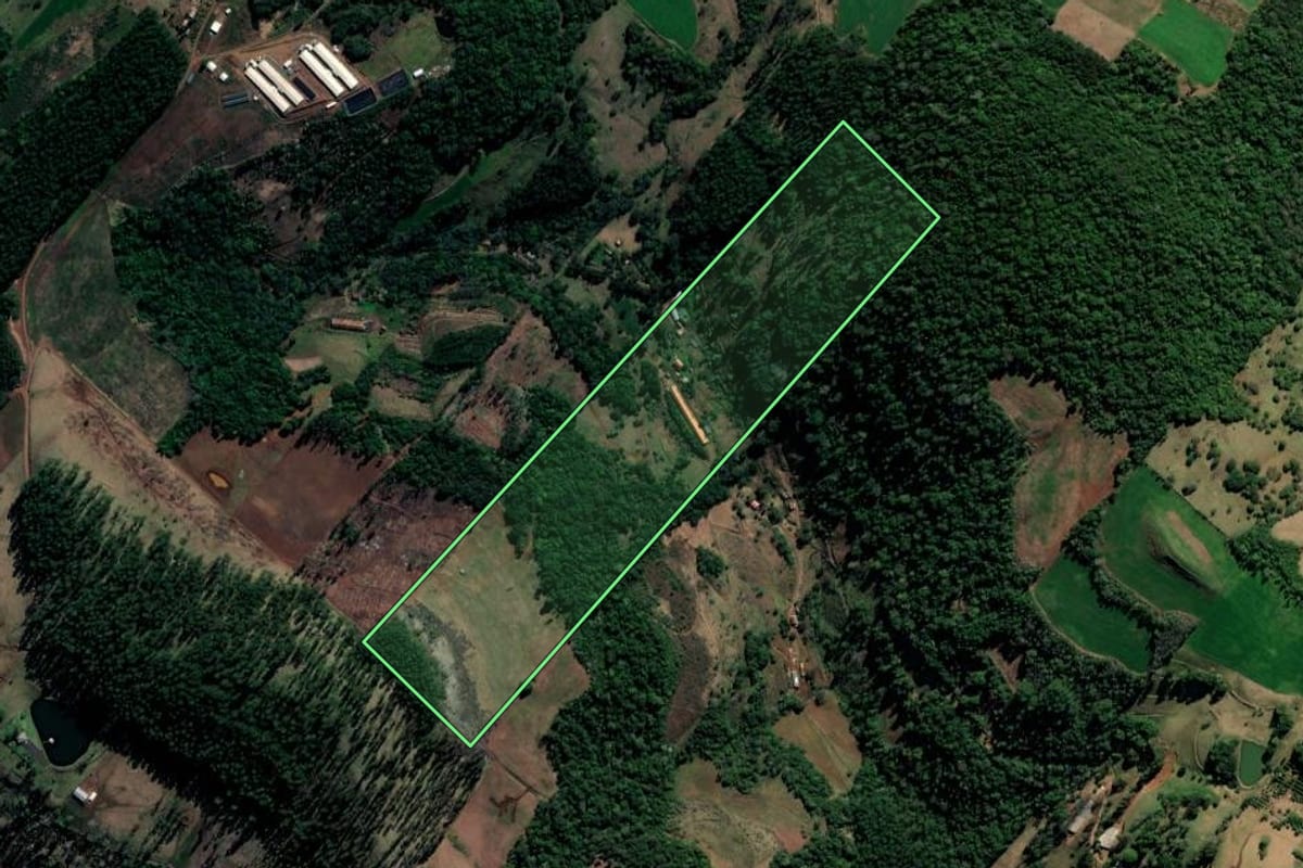 Imagem de satélite do imóvel rural em Cordilheira Alta (SC), com o contorno declarado no CAR desenhado por cima.