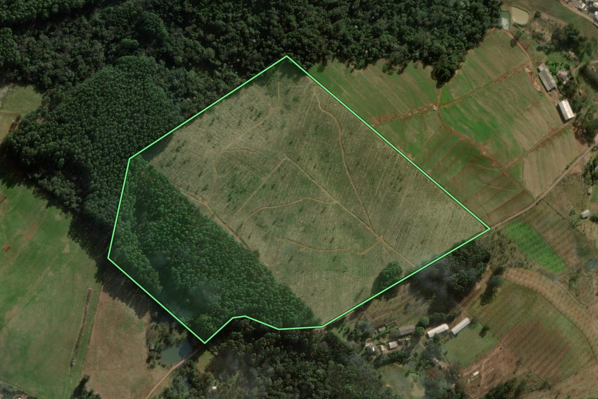 Imagem de satélite do imóvel rural em Cordilheira Alta (SC), com o contorno declarado no CAR desenhado por cima.