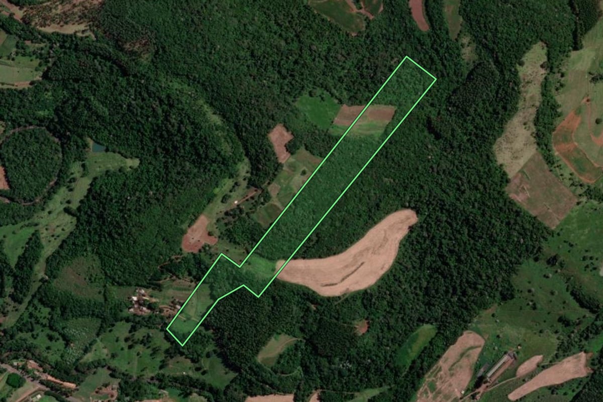 Imagem de satélite do imóvel rural em Cordilheira Alta (SC), com o contorno declarado no CAR desenhado por cima.