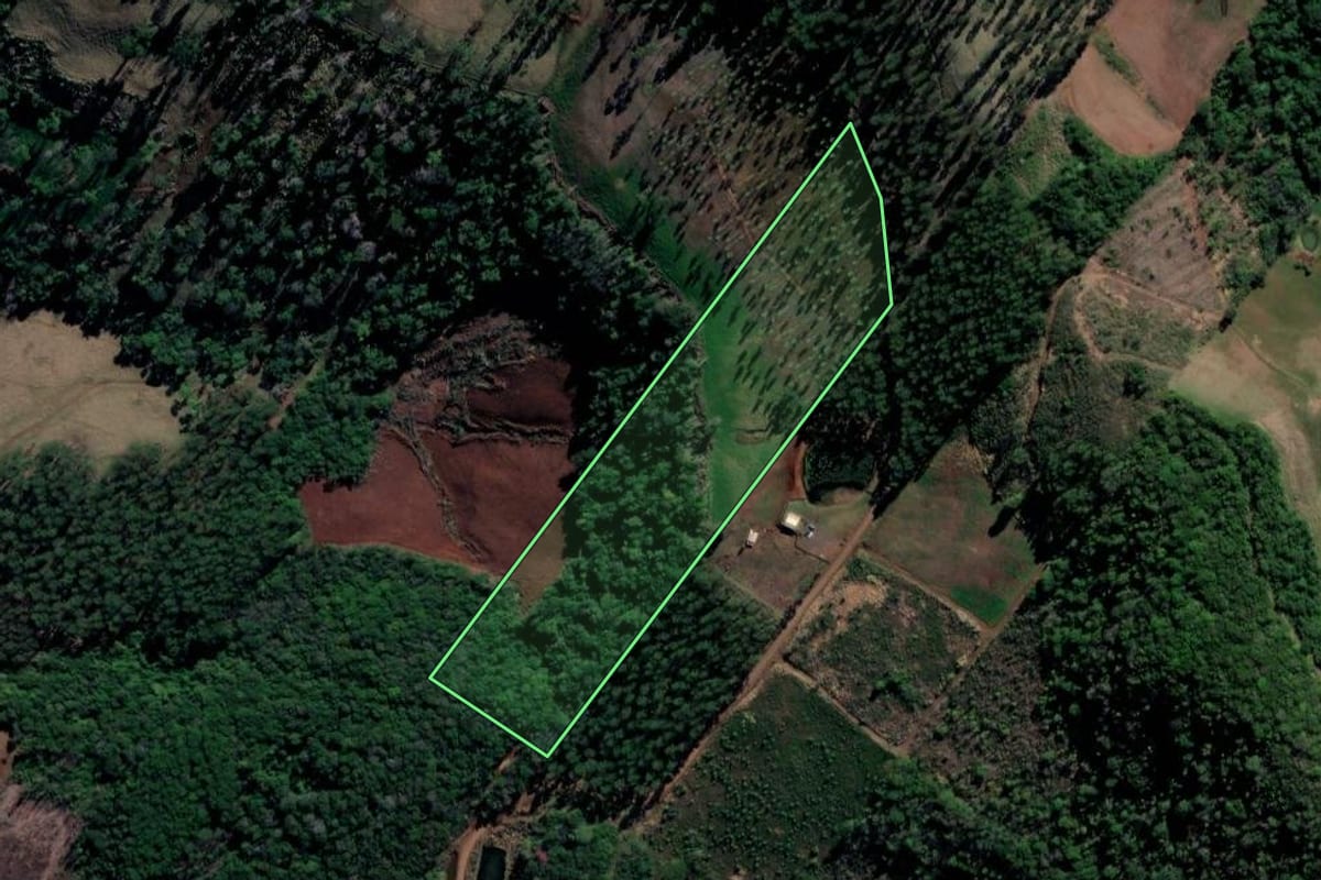 Imagem de satélite do imóvel rural em Cordilheira Alta (SC), com o contorno declarado no CAR desenhado por cima.