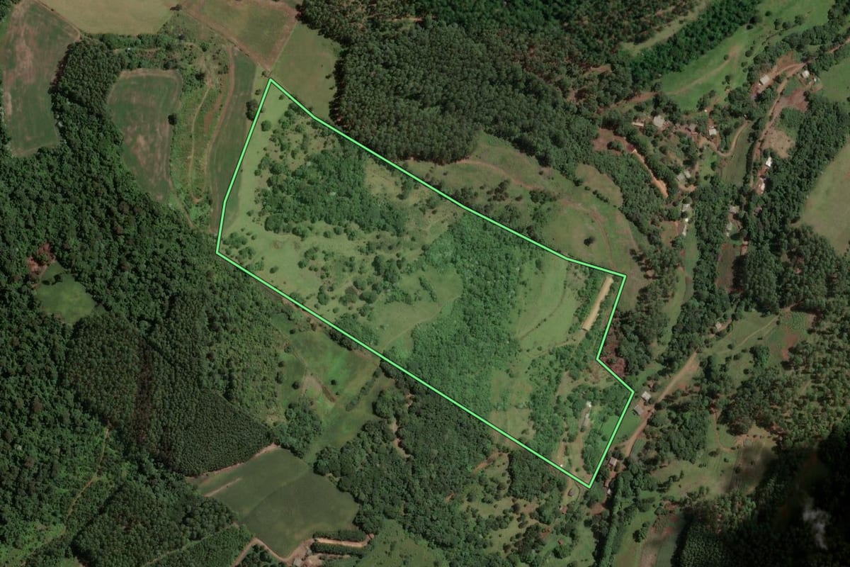 Imagem de satélite do imóvel rural em Cordilheira Alta (SC), com o contorno declarado no CAR desenhado por cima.