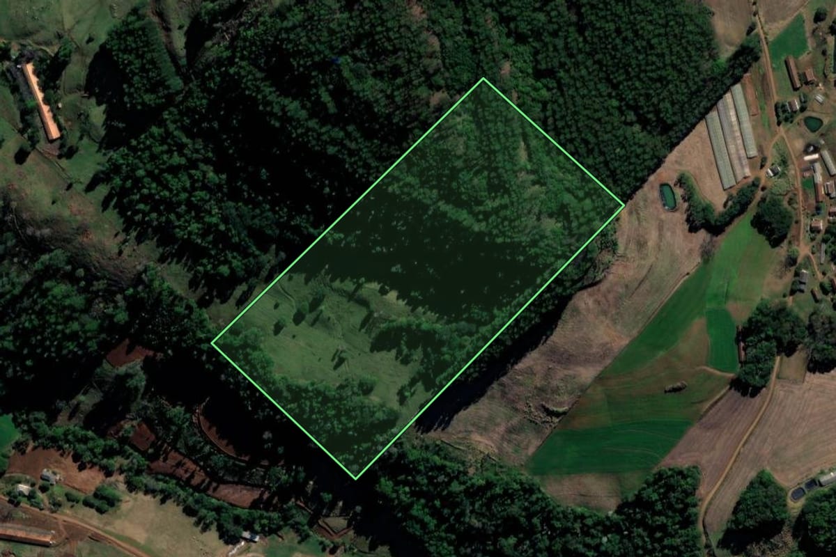 Imagem de satélite do imóvel rural em Coronel Freitas (SC), com o contorno declarado no CAR desenhado por cima.