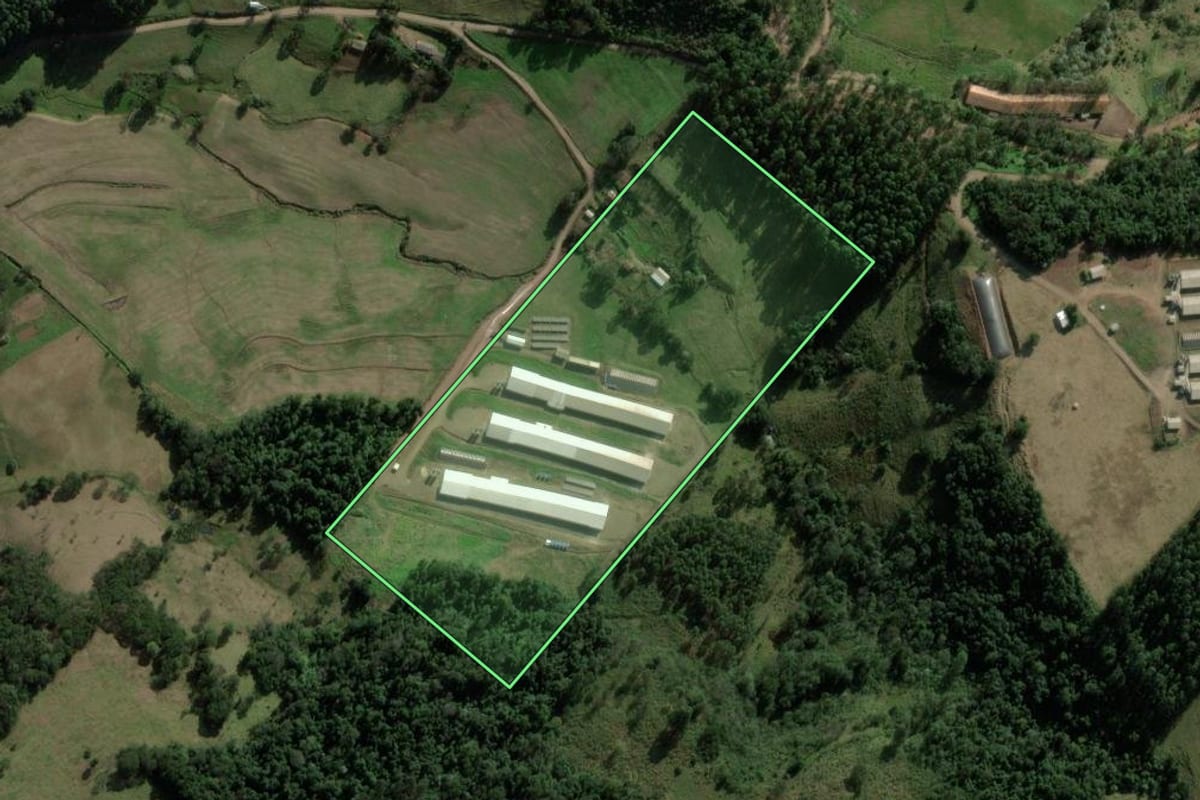 Imagem de satélite do imóvel rural em Coronel Freitas (SC), com o contorno declarado no CAR desenhado por cima.