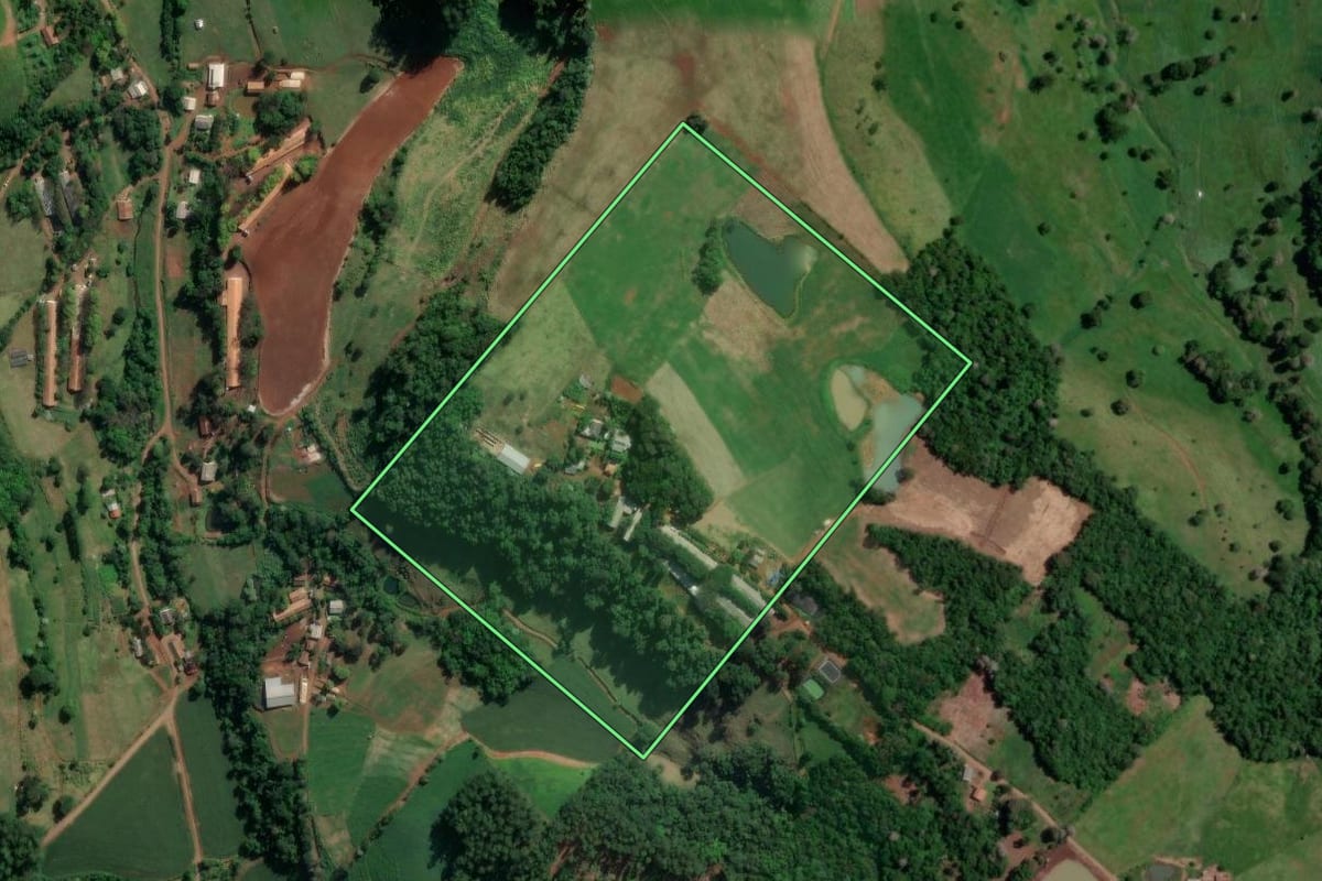 Imagem de satélite do imóvel rural em Coronel Freitas (SC), com o contorno declarado no CAR desenhado por cima.