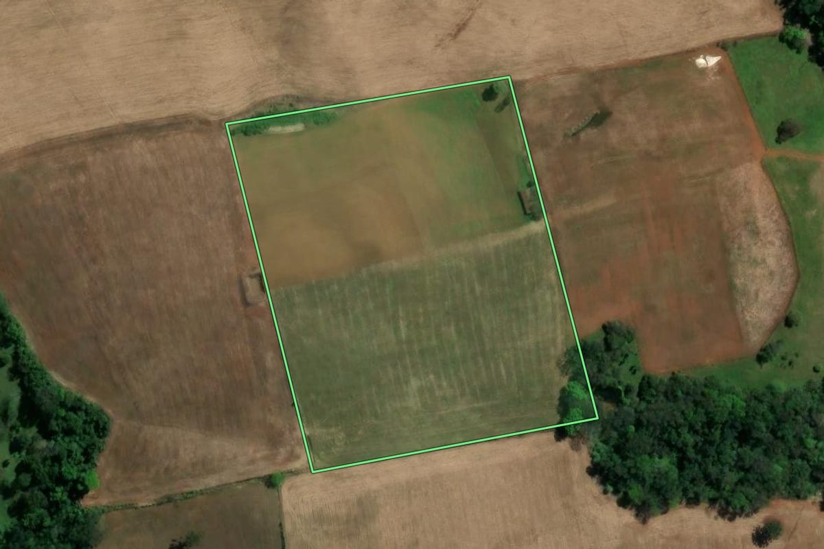Imagem de satélite do imóvel rural em Coronel Freitas (SC), com o contorno declarado no CAR desenhado por cima.