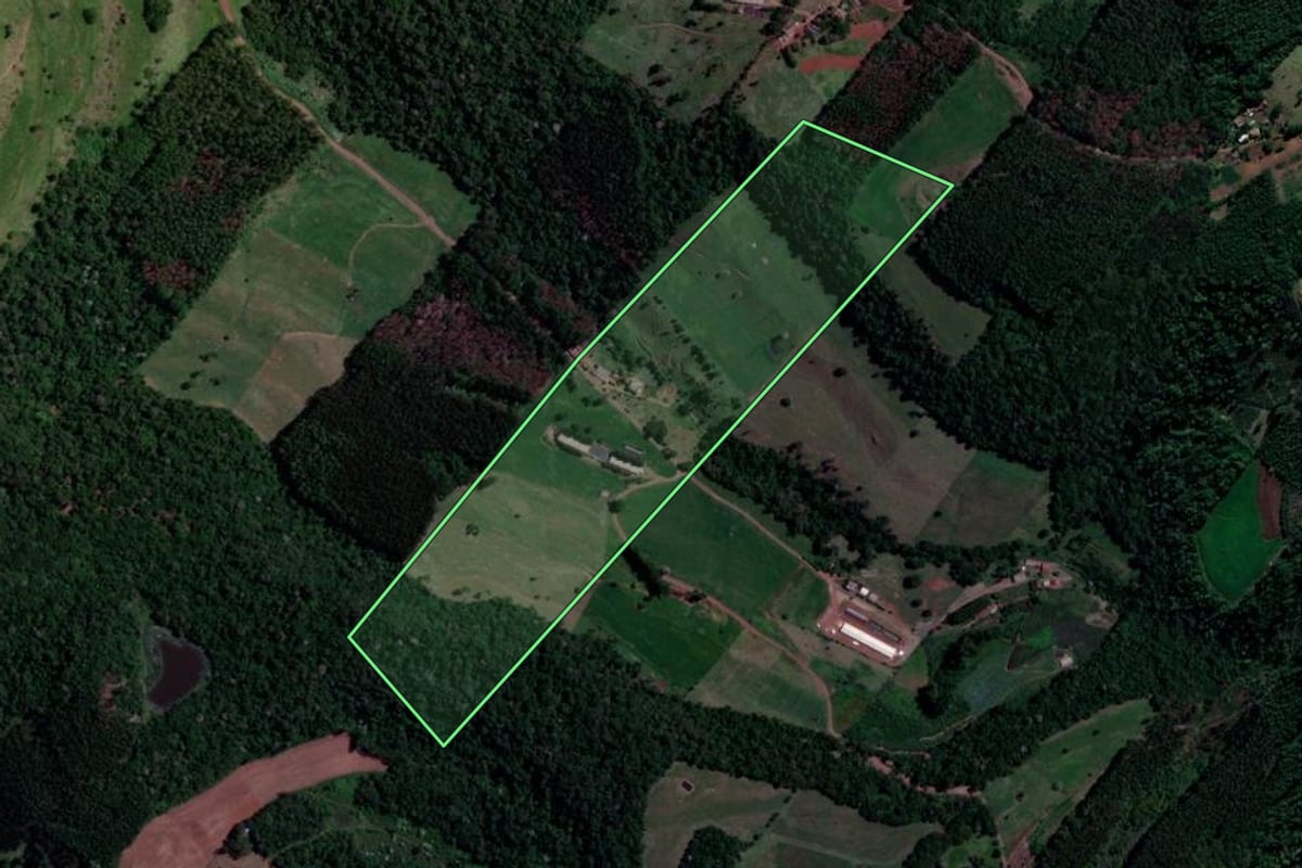 Imagem de satélite do imóvel rural em Coronel Freitas (SC), com o contorno declarado no CAR desenhado por cima.