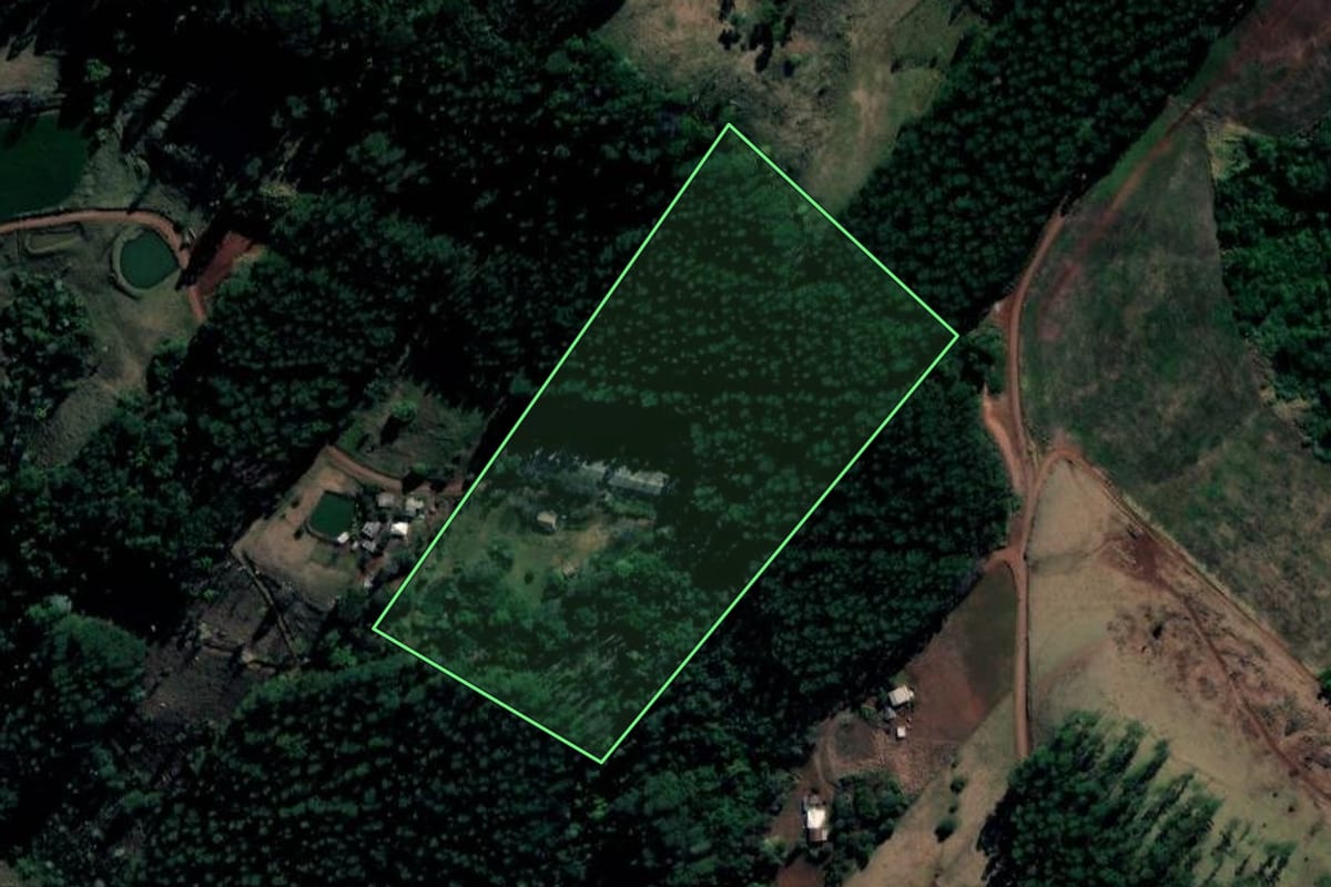 Imagem de satélite do imóvel rural em Coronel Freitas (SC), com o contorno declarado no CAR desenhado por cima.