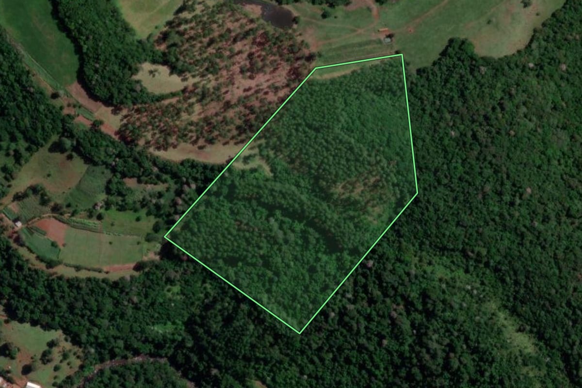 Imagem de satélite do imóvel rural em Coronel Freitas (SC), com o contorno declarado no CAR desenhado por cima.