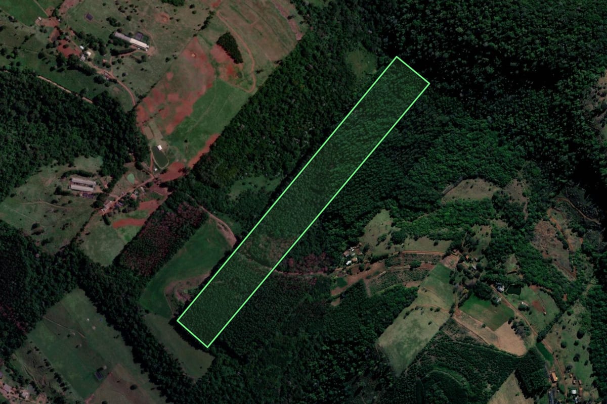 Imagem de satélite do imóvel rural em Coronel Freitas (SC), com o contorno declarado no CAR desenhado por cima.
