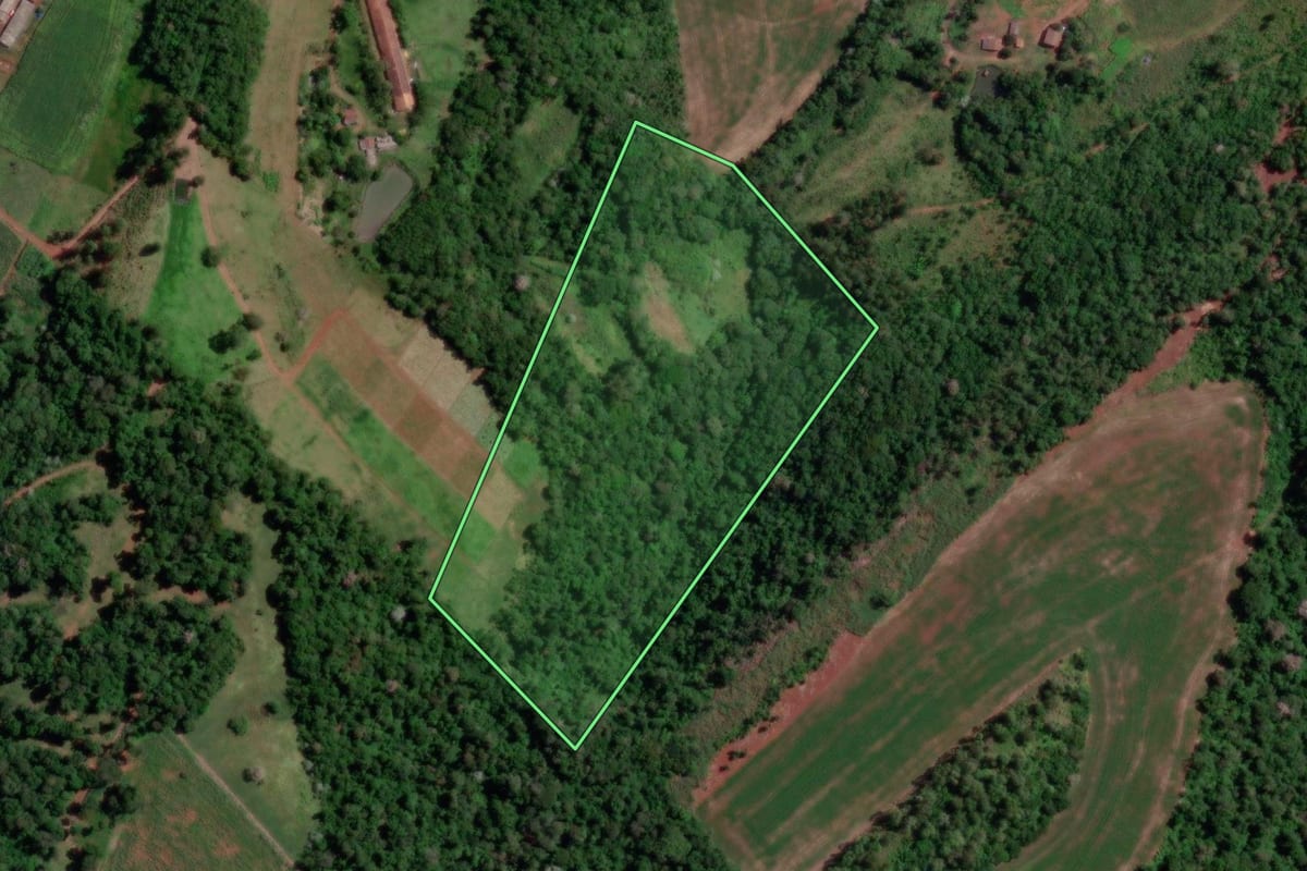Imagem de satélite do imóvel rural em Coronel Freitas (SC), com o contorno declarado no CAR desenhado por cima.