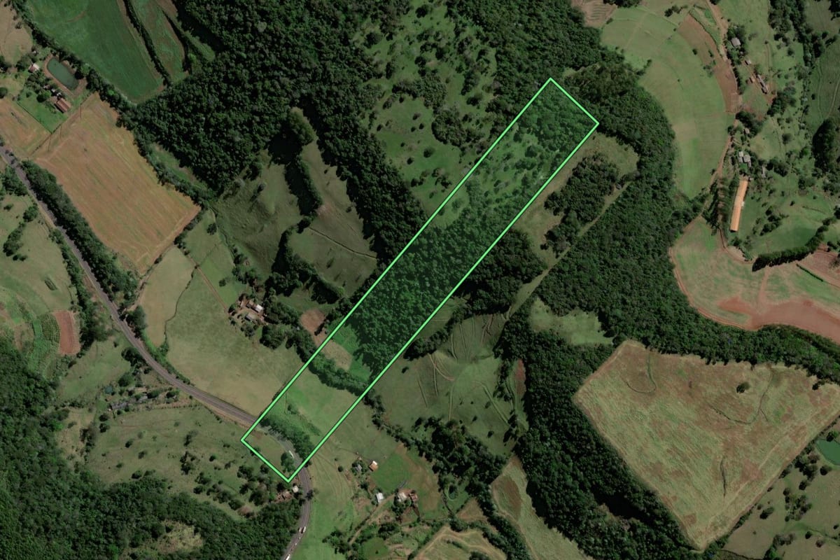 Imagem de satélite do imóvel rural em Coronel Freitas (SC), com o contorno declarado no CAR desenhado por cima.