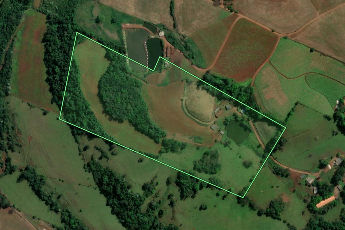 Imagem de satélite do imóvel rural em Coronel Freitas (SC), com o contorno declarado no CAR desenhado por cima.
