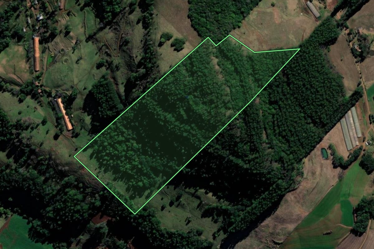 Imagem de satélite do imóvel rural em Coronel Freitas (SC), com o contorno declarado no CAR desenhado por cima.