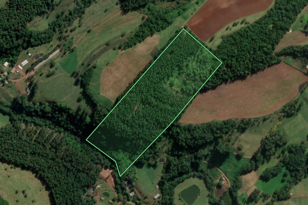 Imagem de satélite do imóvel rural em Coronel Freitas (SC), com o contorno declarado no CAR desenhado por cima.