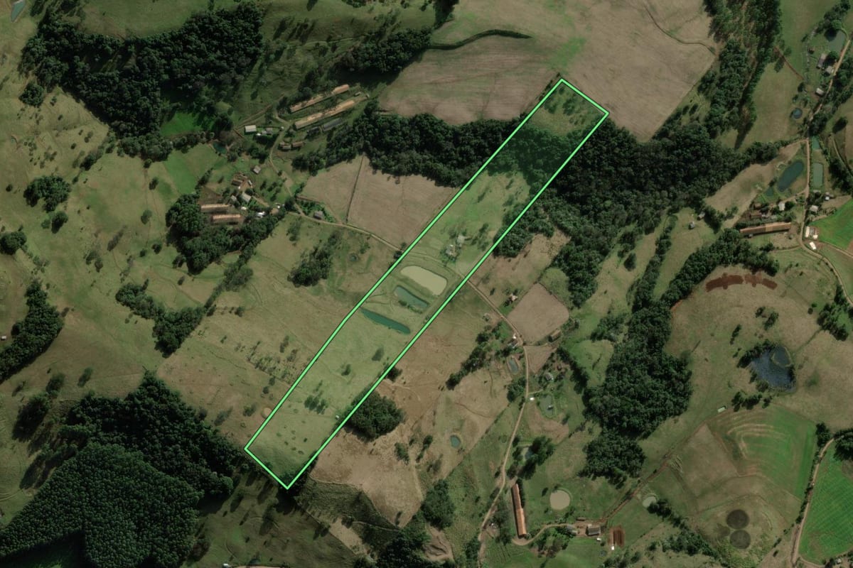 Imagem de satélite do imóvel rural em Coronel Freitas (SC), com o contorno declarado no CAR desenhado por cima.