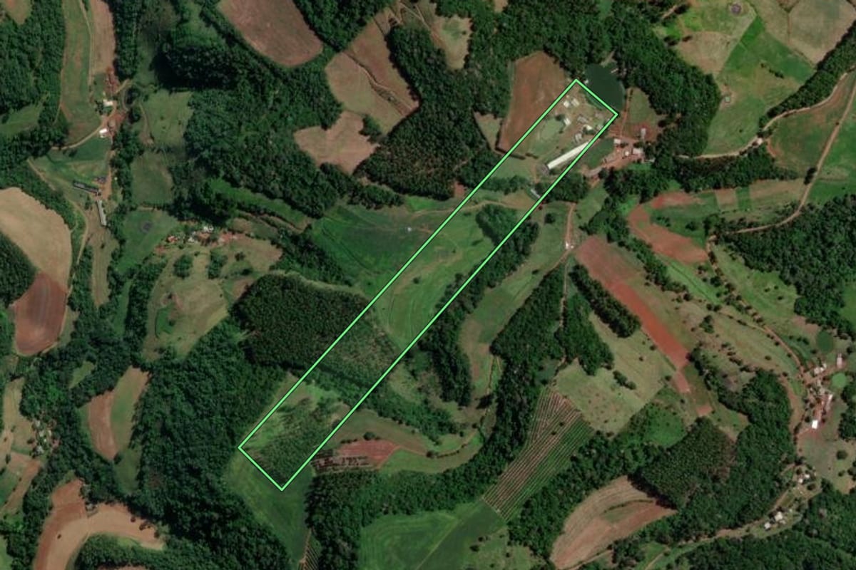 Imagem de satélite do imóvel rural em Coronel Freitas (SC), com o contorno declarado no CAR desenhado por cima.