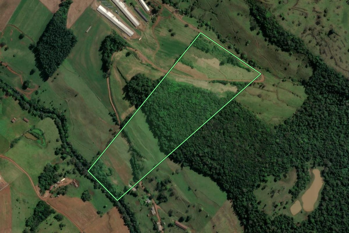 Imagem de satélite do imóvel rural em Coronel Freitas (SC), com o contorno declarado no CAR desenhado por cima.