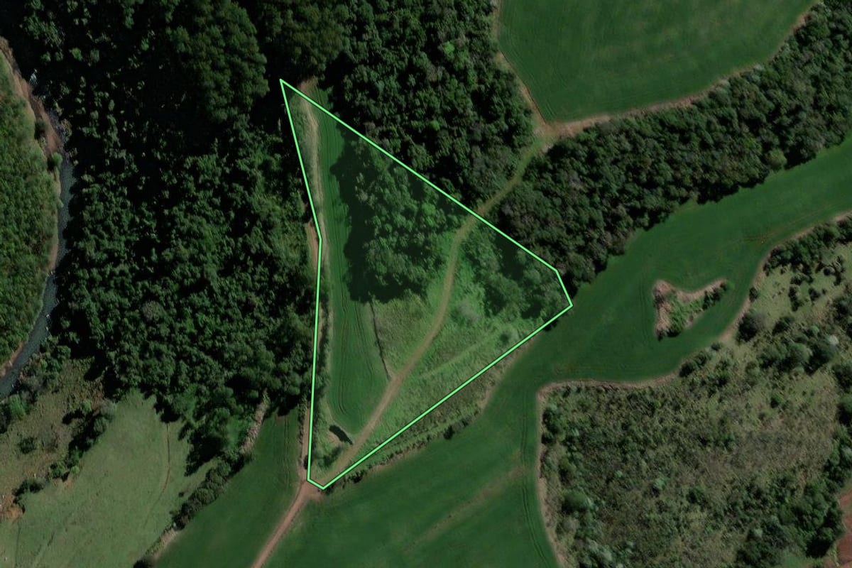 Imagem de satélite do imóvel rural em Coronel Freitas (SC), com o contorno declarado no CAR desenhado por cima.