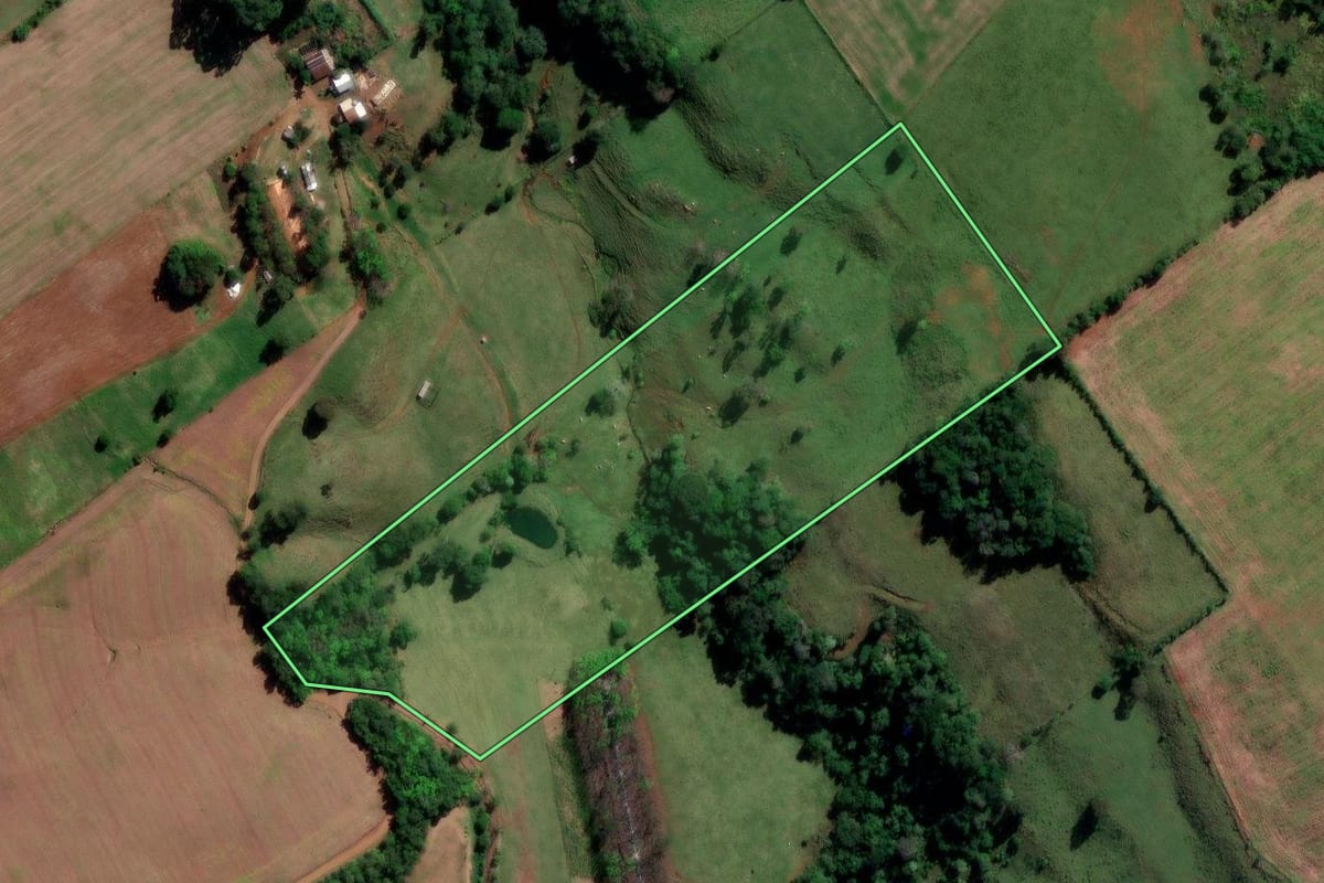 Imagem de satélite do imóvel rural em Coronel Freitas (SC), com o contorno declarado no CAR desenhado por cima.