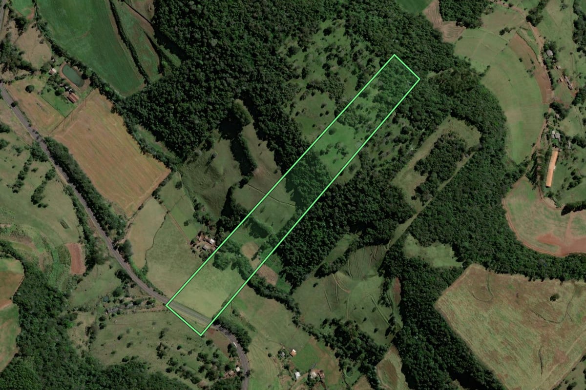 Imagem de satélite do imóvel rural em Coronel Freitas (SC), com o contorno declarado no CAR desenhado por cima.