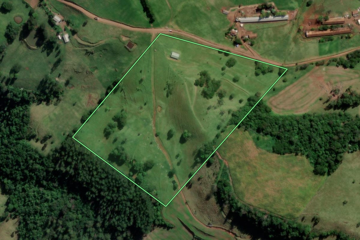 Imagem de satélite do imóvel rural em Coronel Freitas (SC), com o contorno declarado no CAR desenhado por cima.
