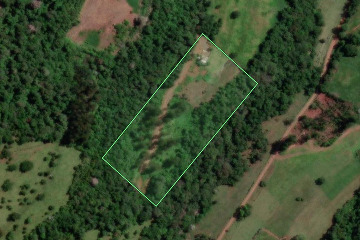 Imagem de satélite do imóvel rural em Coronel Freitas (SC), com o contorno declarado no CAR desenhado por cima.