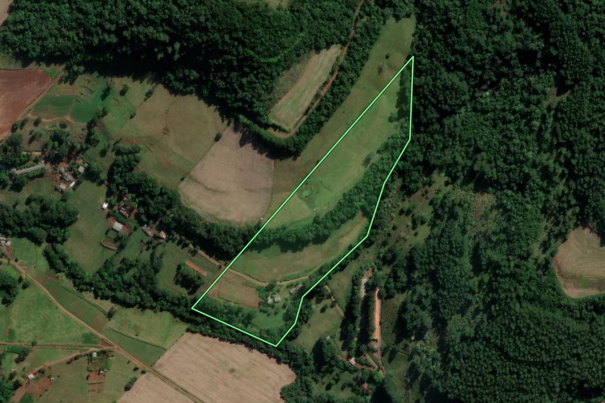 Imagem de satélite do imóvel rural em Coronel Freitas (SC), com o contorno declarado no CAR desenhado por cima.
