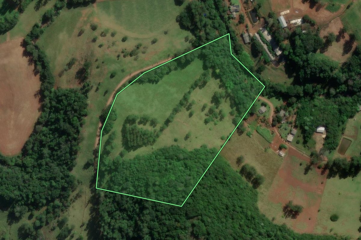 Imagem de satélite do imóvel rural em Coronel Freitas (SC), com o contorno declarado no CAR desenhado por cima.