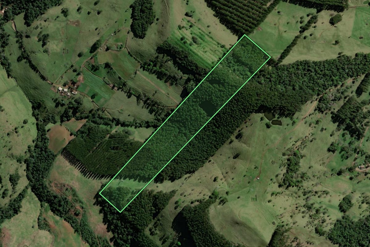 Imagem de satélite do imóvel rural em Coronel Freitas (SC), com o contorno declarado no CAR desenhado por cima.
