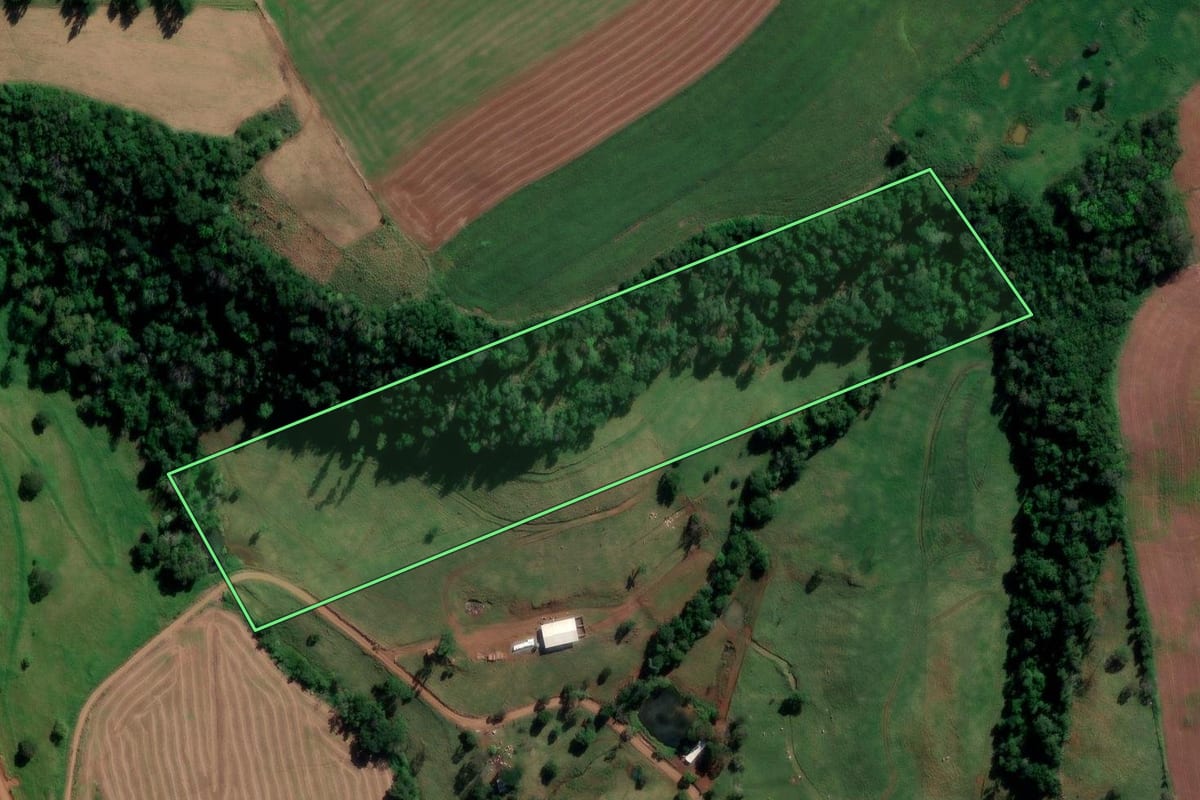 Imagem de satélite do imóvel rural em Coronel Freitas (SC), com o contorno declarado no CAR desenhado por cima.