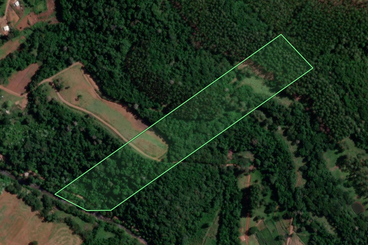 Imagem de satélite do imóvel rural em Coronel Freitas (SC), com o contorno declarado no CAR desenhado por cima.