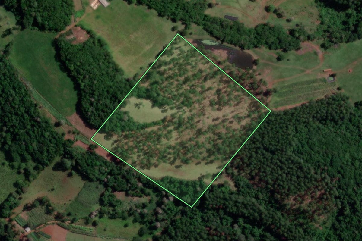 Imagem de satélite do imóvel rural em Coronel Freitas (SC), com o contorno declarado no CAR desenhado por cima.