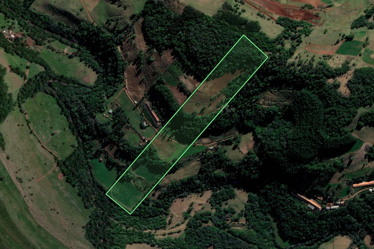 Imagem de satélite do imóvel rural em Coronel Freitas (SC), com o contorno declarado no CAR desenhado por cima.