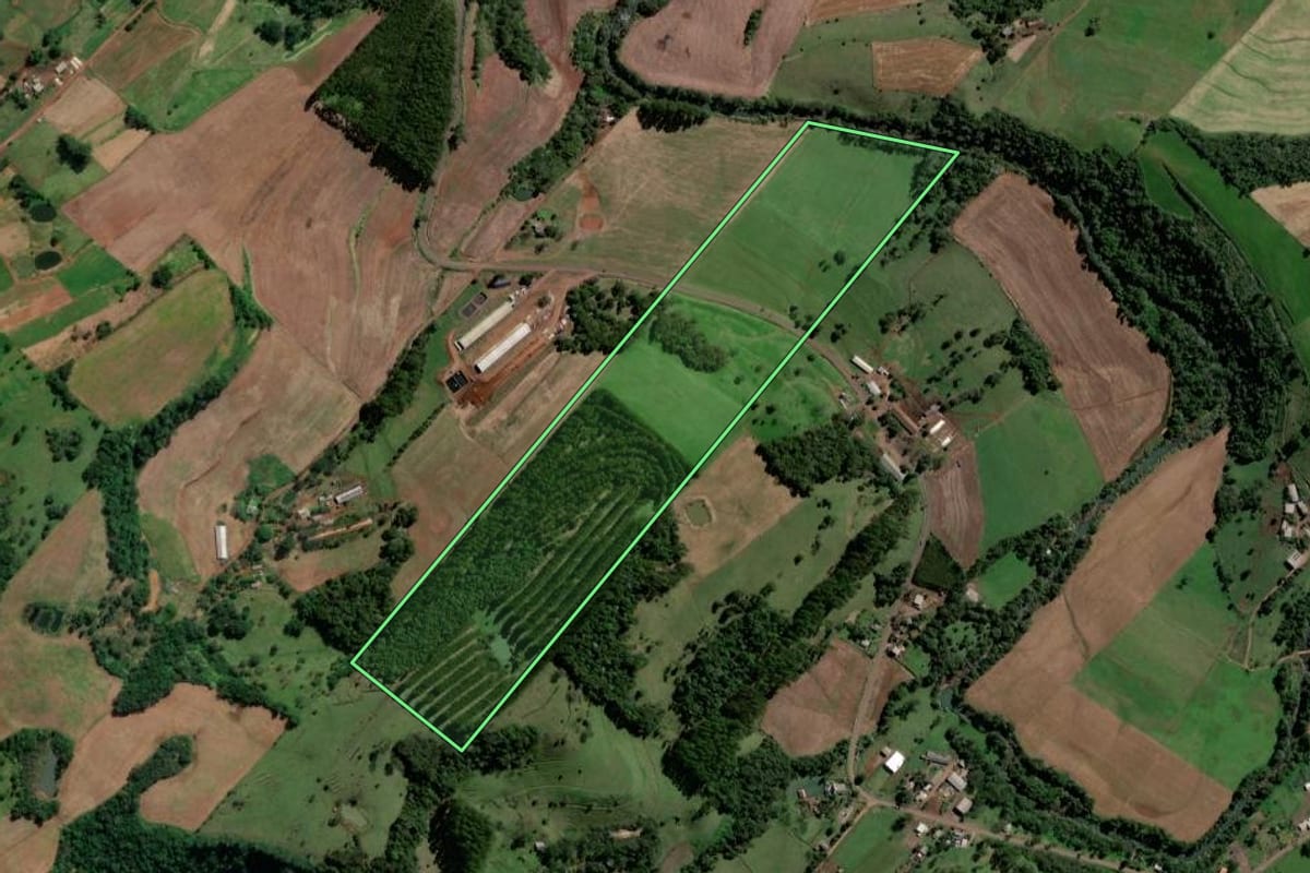Imagem de satélite do imóvel rural em Coronel Freitas (SC), com o contorno declarado no CAR desenhado por cima.