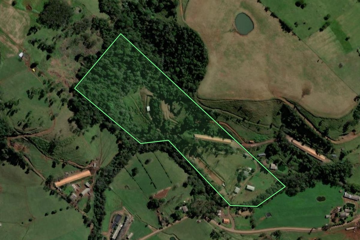 Imagem de satélite do imóvel rural em Coronel Freitas (SC), com o contorno declarado no CAR desenhado por cima.