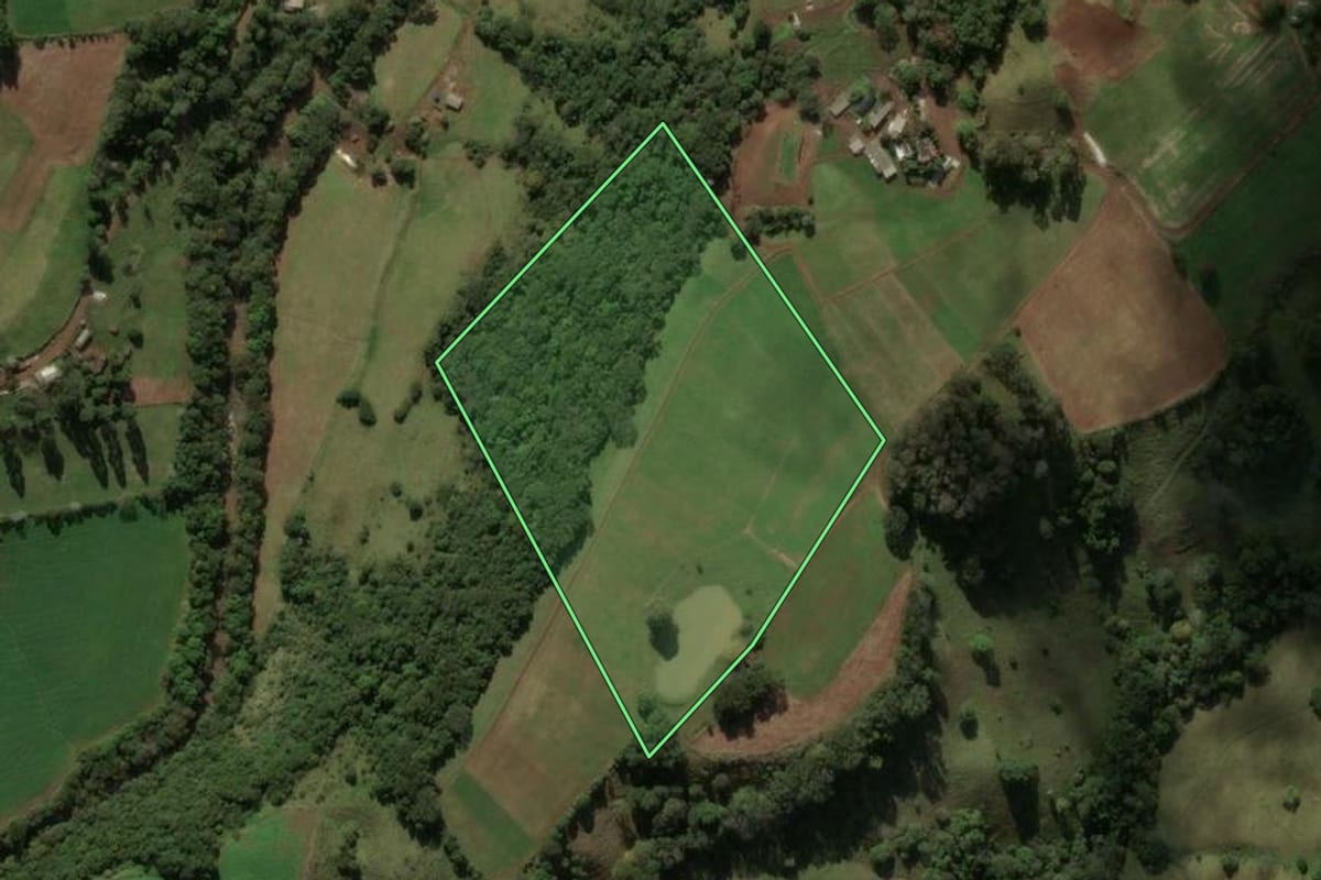 Imagem de satélite do imóvel rural em Coronel Martins (SC), com o contorno declarado no CAR desenhado por cima.
