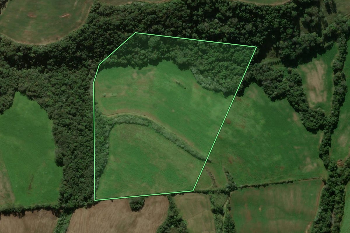 Imagem de satélite do imóvel rural em Coronel Martins (SC), com o contorno declarado no CAR desenhado por cima.
