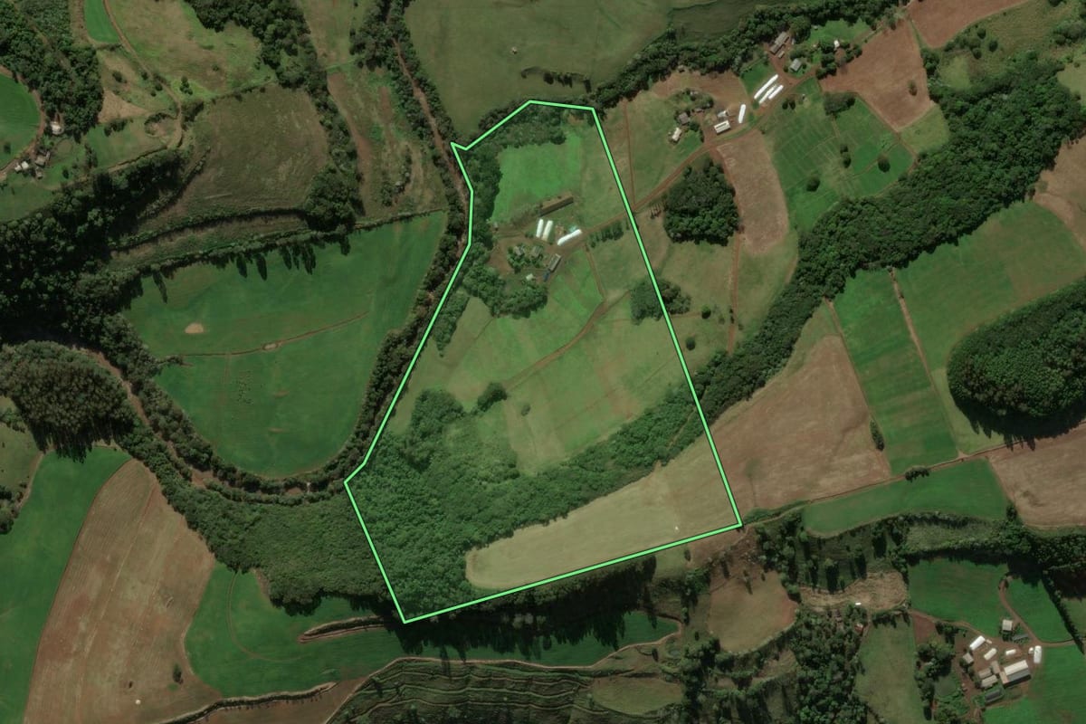 Imagem de satélite do imóvel rural em Coronel Martins (SC), com o contorno declarado no CAR desenhado por cima.